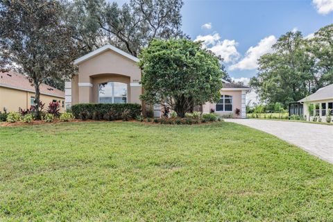 A home in DADE CITY