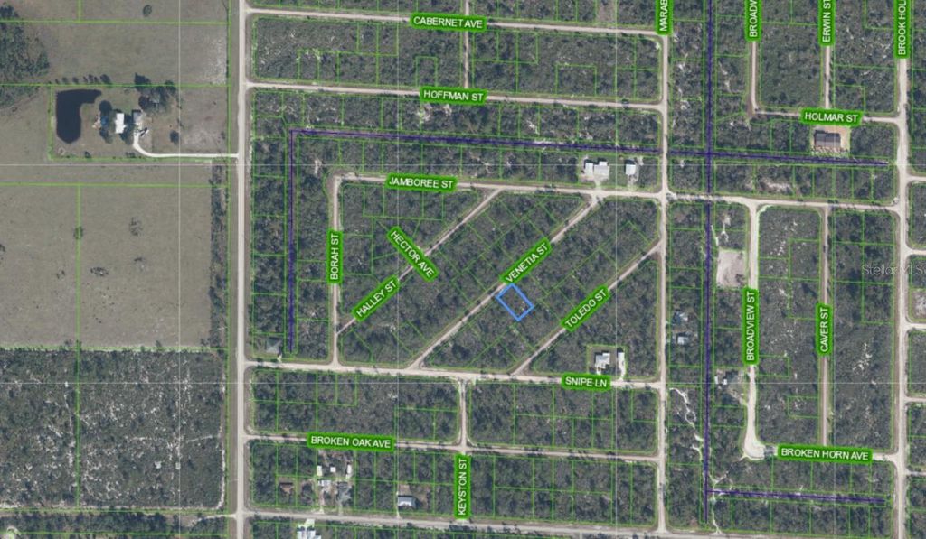 Photo of 3535 Venetia Street, Lake Placid, FL 33852 (MLS # S5135042)