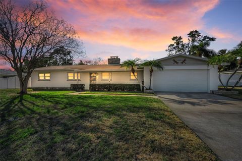 1338 HAMLIN DRIVE CLEARWATER FL 33764