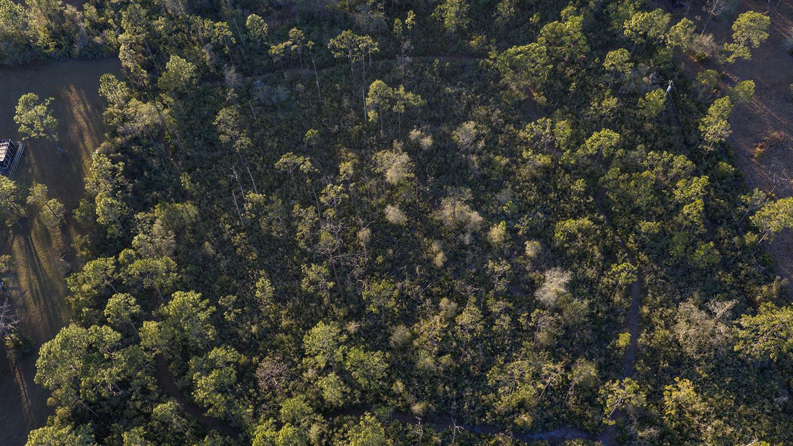 INDIAN HAMMOCK HUNT & RIDING C - Land