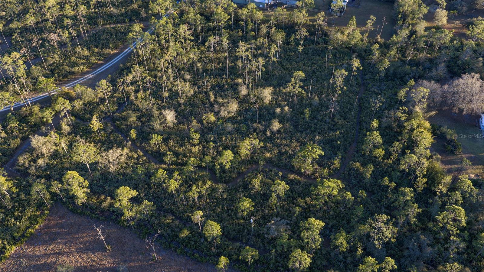 INDIAN HAMMOCK HUNT & RIDING C - Land