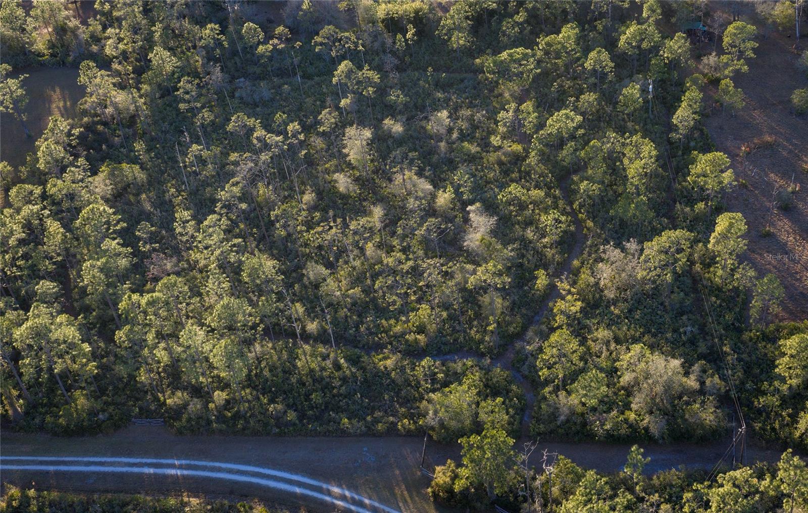 INDIAN HAMMOCK HUNT & RIDING C - Land