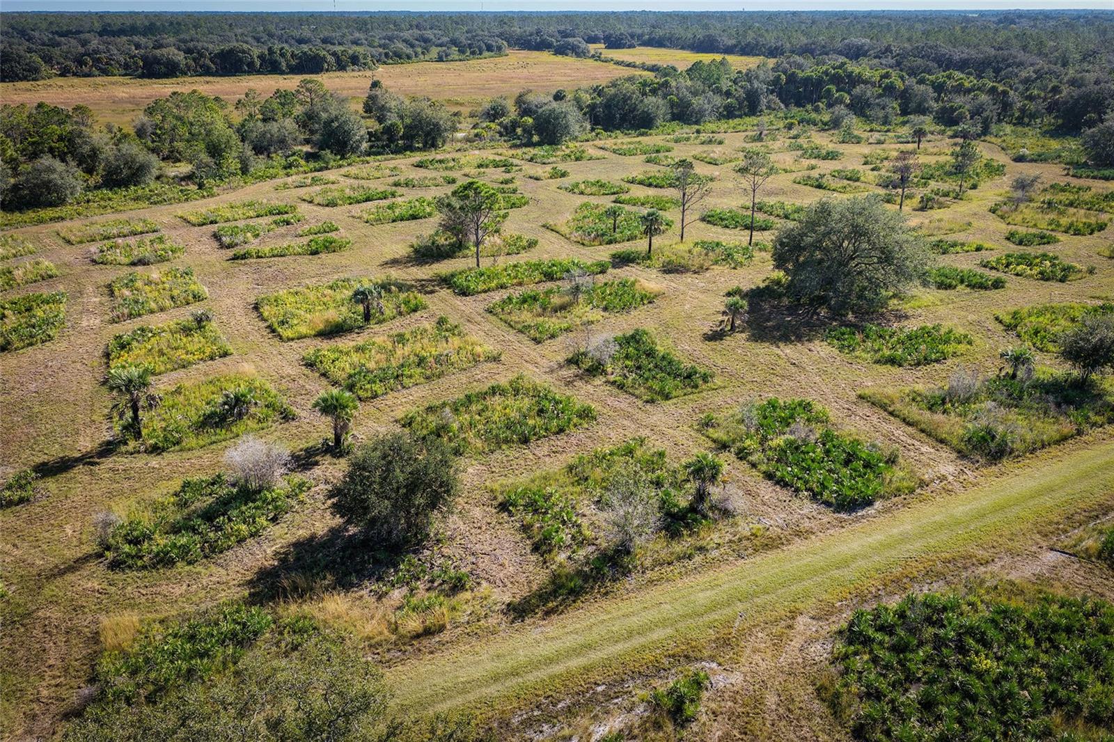 INDIAN HAMMOCK HUNT & RIDING C - Land