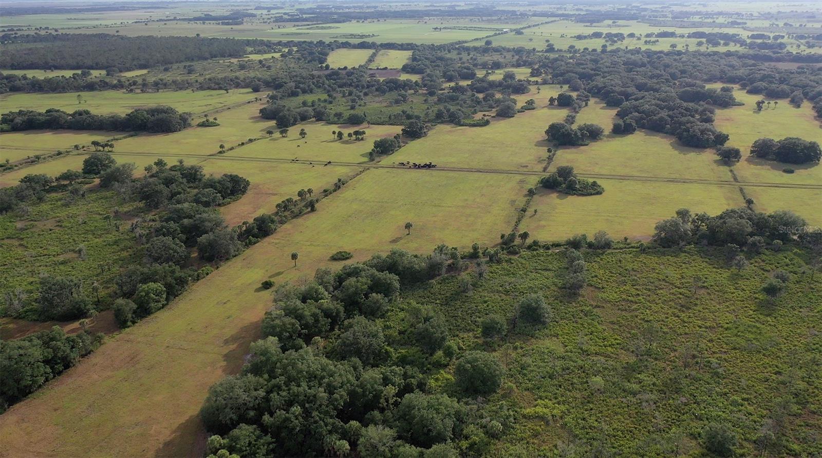 INDIAN HAMMOCK HUNT & RIDING C - Land