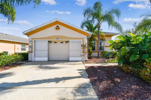 A home in SUN CITY CENTER