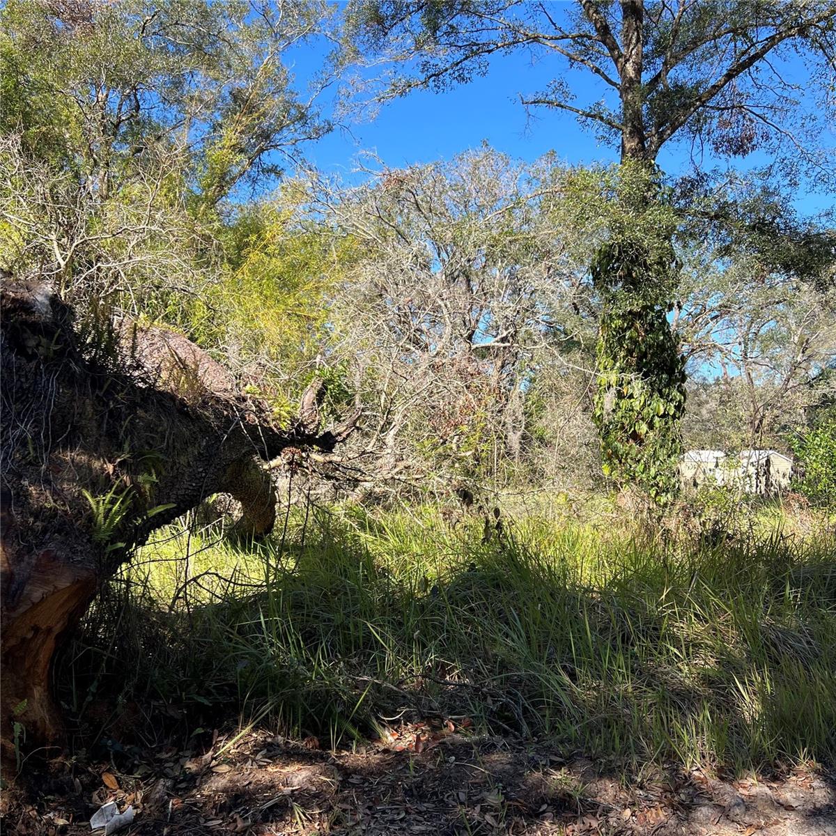 Want the country living without being far from modern conveniences? Build your home or have a mobile home installed on this wooded and natural lot. Located not far from the Withlacoochee River, you can enjoy a canoe or kayak ride from the launch, fishing in the river, easy commute to various lakes and nature areas. Property is located close to I-75 for a quick commute to Tampa, easy access to Cortez for a short drive to Brooksville and within an hour to Weeki Wache Florida for springs and the coast. Additional lot available also if you are interested in having family close by.
