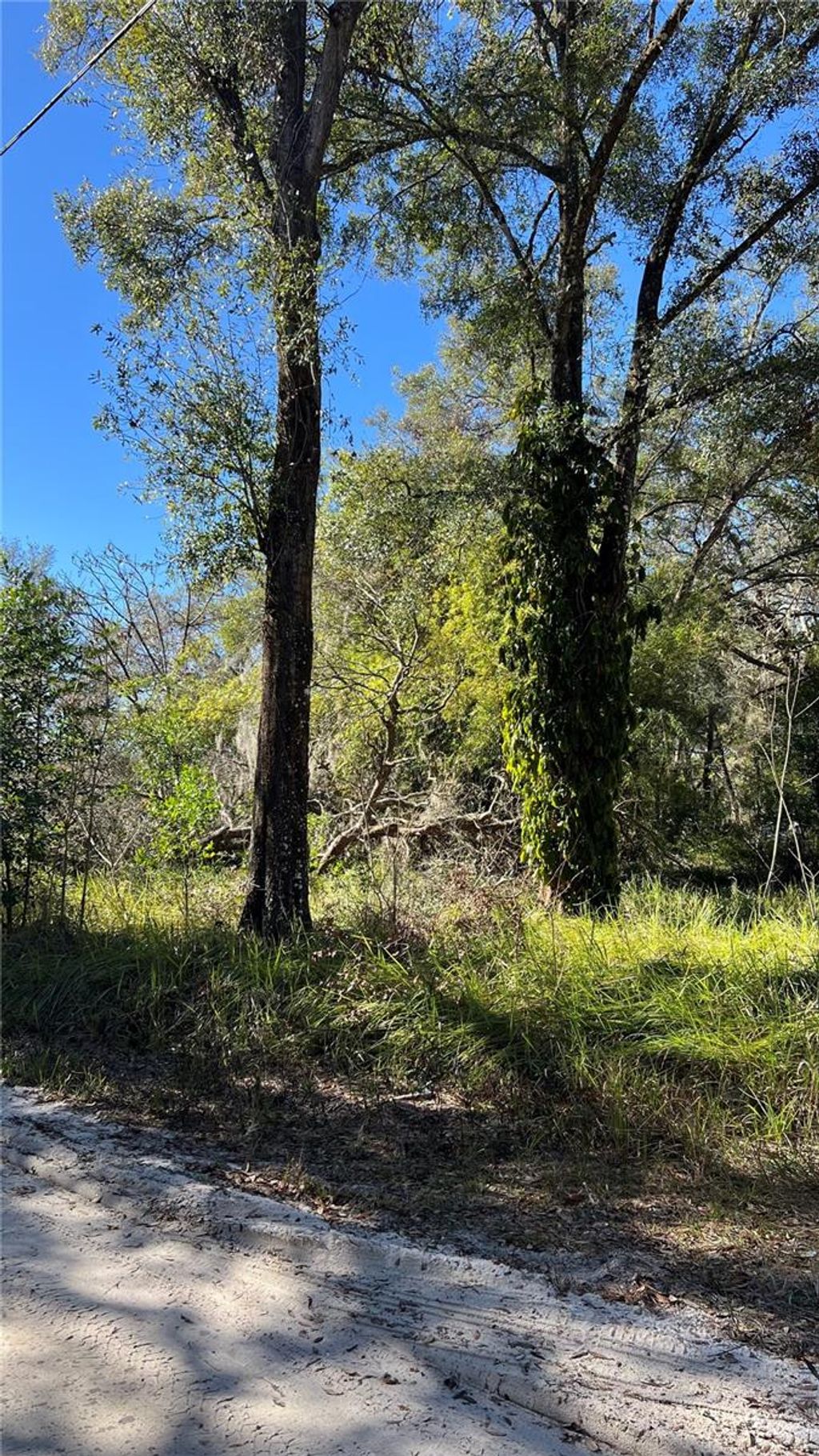 Photo of 0 Durden Road, Dade City, FL 33523 (MLS # A4637788)