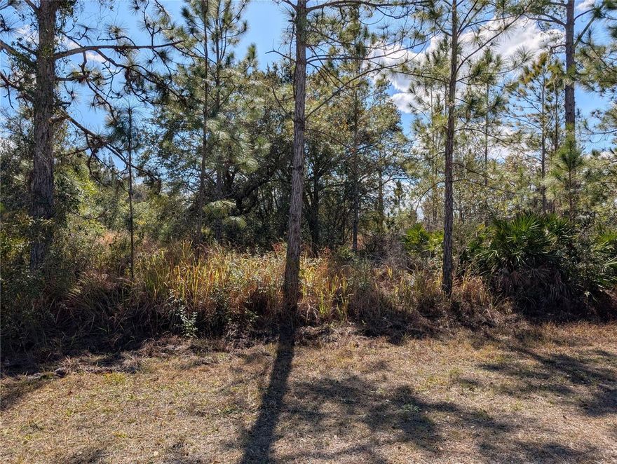 Build your dream home on this stunning half-acre lot nestled in the welcoming lake community of Indian Lake Estates, a hub for golfing, fishing, and boating in the heart of Florida. Indian Lake Estates sits about 20 miles east of Lake Wales, encircling the renowned 7,500-acre Lake Walk In Water, famous for its exceptional fishing and hailed as one of Florida's top bass fishing spots. The lake features a beach, a boat ramp, a marina, and boasts the longest freshwater fishing pier in the state. At the pier's front, you'll discover a pavilion equipped with propane grills and covered picnic tables, perfect for gatherings. The community amenities are extensive, including an 18-hole golf course, basketball and tennis courts, a spacious 23,000 sq. ft. clubhouse, a cafe, post office, churches, a library, fitness room, and pro shop. If you cherish nature and the tranquility of country living, you’re in for a treat. The area is teeming with wildlife; keep an eye out for deer, raccoons, turkeys, turtles, cranes, and a variety of birds that call this community home. Orlando and Disney are just an hour’s drive north, while Tampa, Busch Gardens, and the pristine beaches of the Gulf are a bit over an hour to the west. You’ll also find the historic Bok Tower, a National Landmark, in nearby Lake Wales. And just six miles away, the Westgate River Ranch Resort and Rodeo offers a taste of authentic Florida with a full-service resort experience, spanning 1,700 acres. Here, you can enjoy horseback riding, wildlife airboat and swamp buggy rides, a championship rodeo on Saturday nights, a trap/skeet range, nature hikes, a petting farm, a marina, and an Adventure Park with zip lines and rock climbing walls. Dining options include the Westgate Smokehouse Grill and River Ranch Saloon, along with a fantastic selection of cowboy-themed accommodations, from lodge rooms and deluxe suites to spacious cottages and deluxe teepees. Come experience the charm of Indian Lake Estates—Polk County’s best-kept secret!