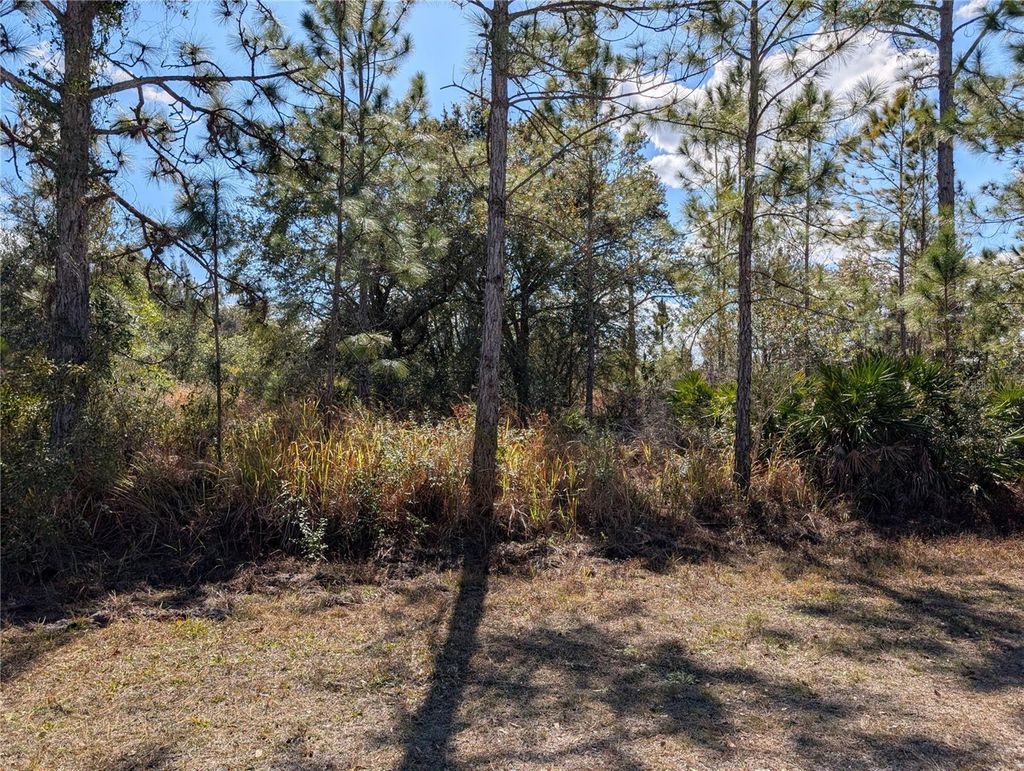 Photo of 711 Azalea Drive, Indian Lake Estates, FL 33855 (MLS # P4937718)