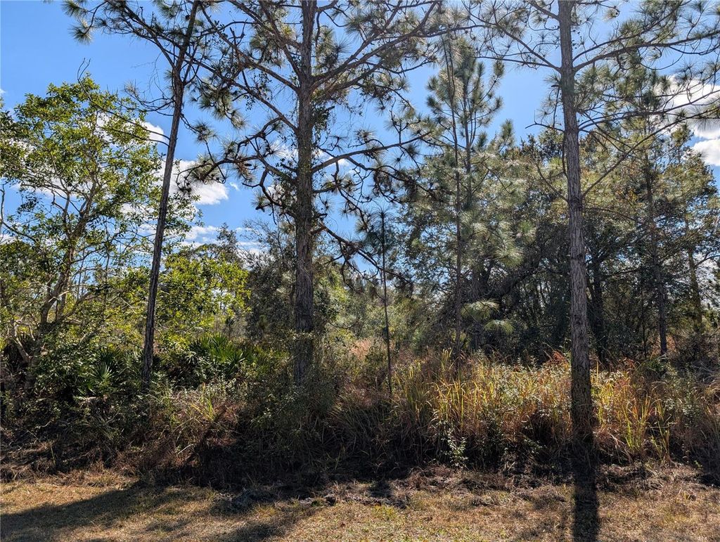 Photo of 711 Azalea Drive, Indian Lake Estates, FL 33855 (MLS # P4937718)