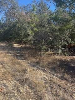 CITRUS SPGS UNIT 22 - Land