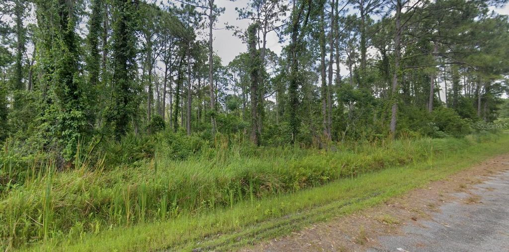 Photo of 8624 Lena Drive, Sebring, FL 33872 (MLS # TB8472086)