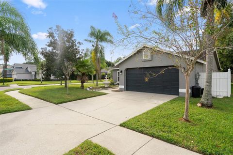 A home in TAMPA