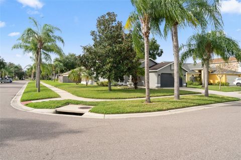 A home in TAMPA