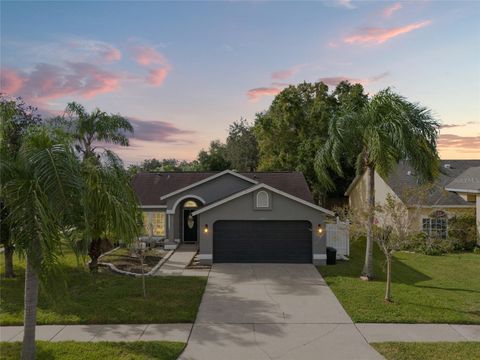 A home in TAMPA