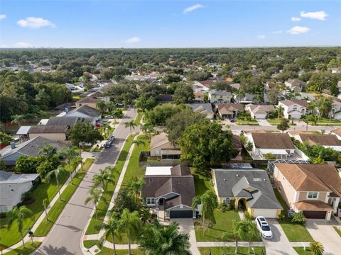 A home in TAMPA