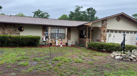 Photo of 4076 S Oakhurst Drive, Homosassa, FL 34446 (MLS # S5149794)