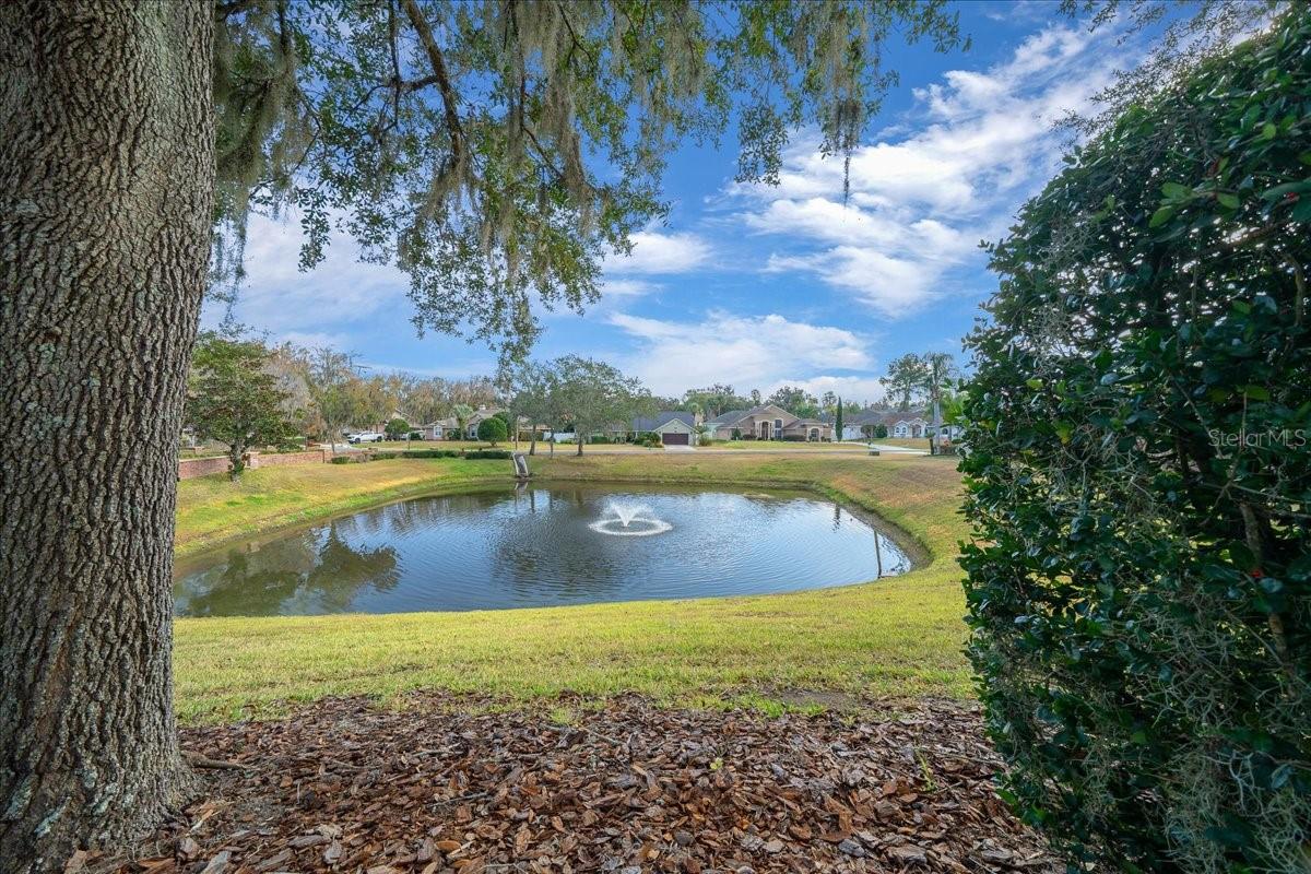 CARRIAGE HILL - Residential