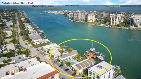 673 BAY ESPLANADE 206 CLEARWATER BEACH FL 33767