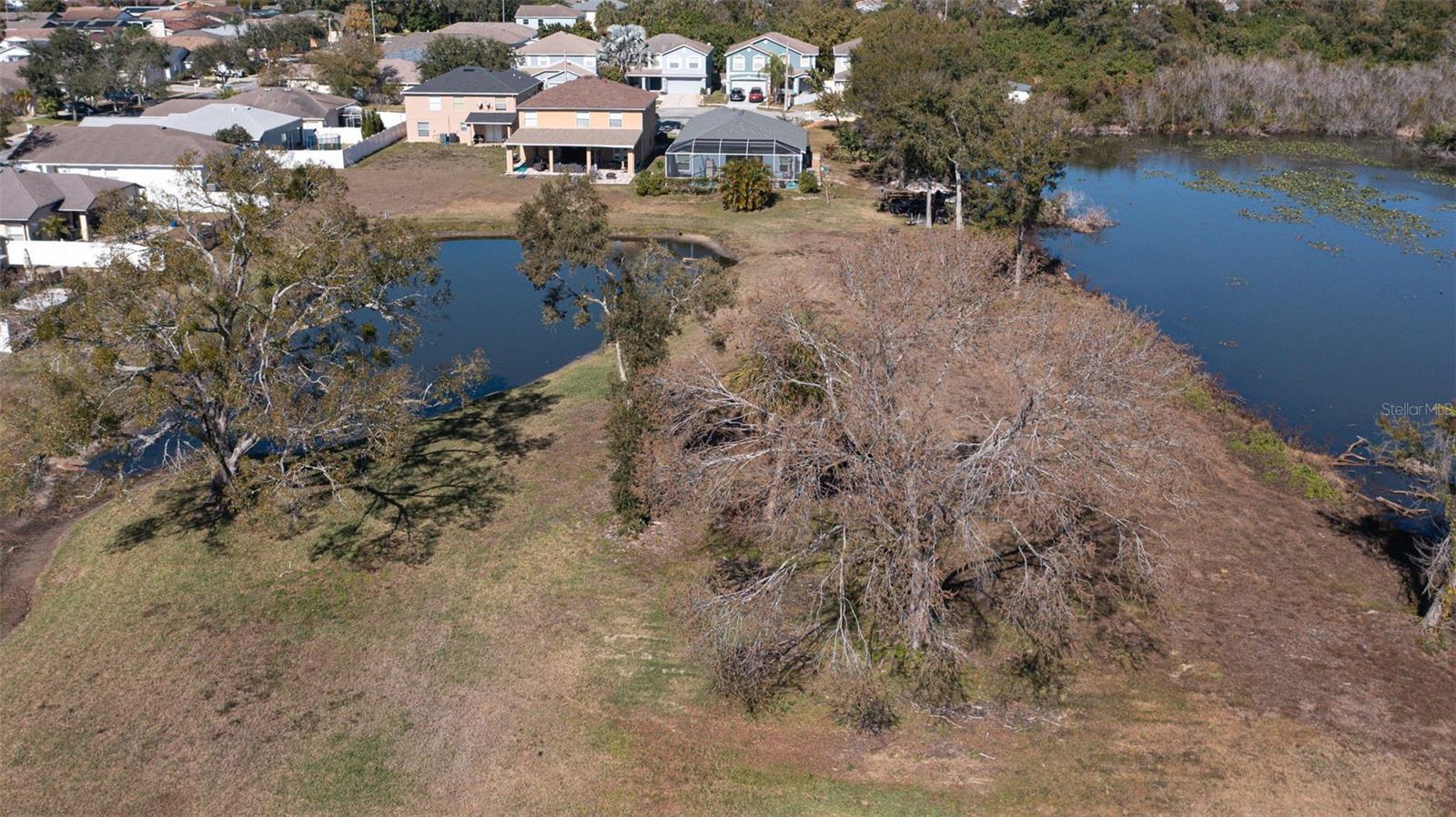 HAMILTON PARK - Residential