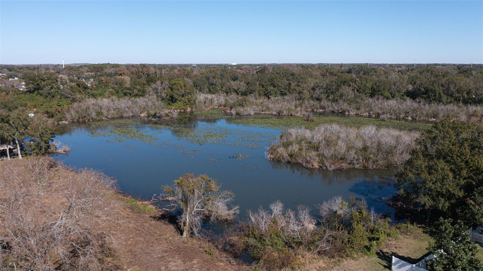 HAMILTON PARK - Residential