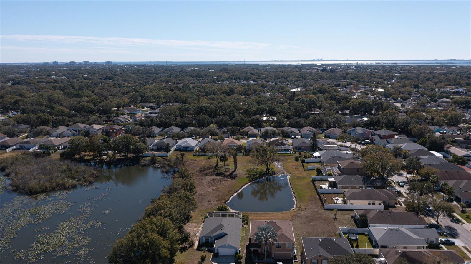 HAMILTON PARK - Residential