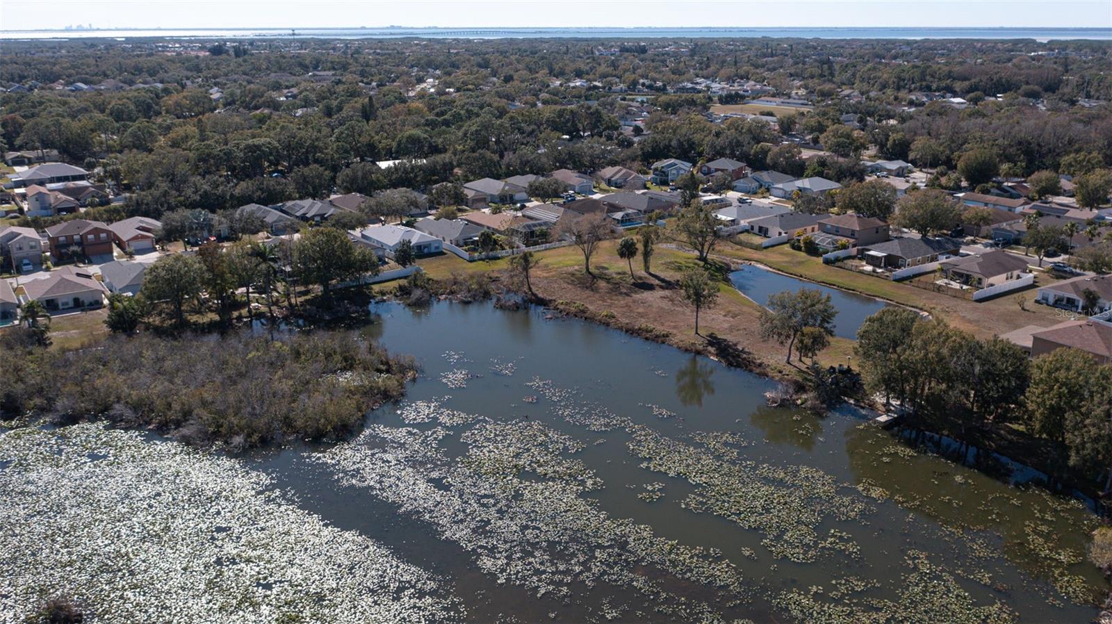 HAMILTON PARK - Residential