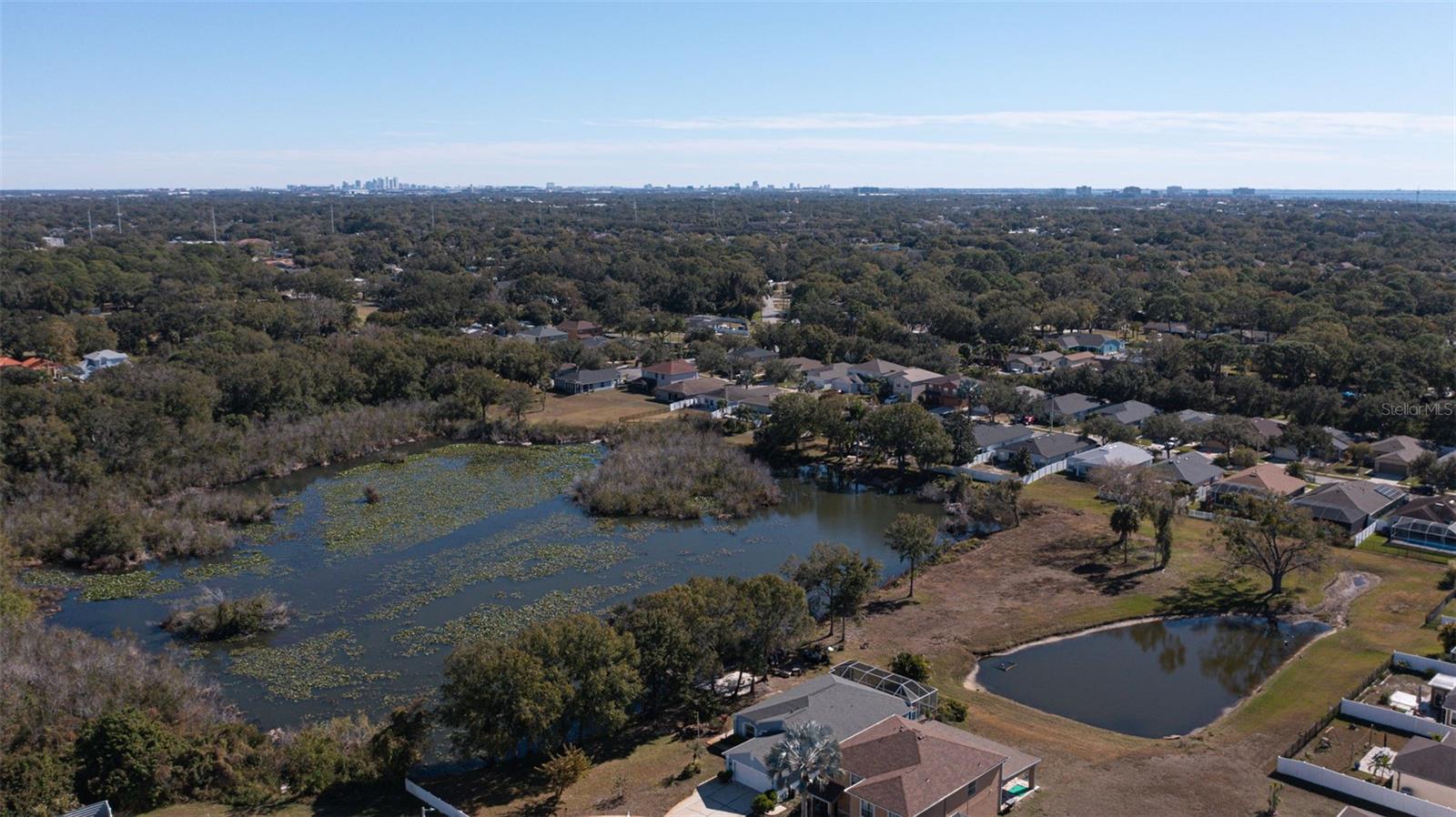 HAMILTON PARK - Residential