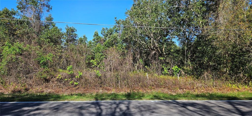 Photo of Timberlane Road, Lake Wales, FL 33898 (MLS # L4959905)