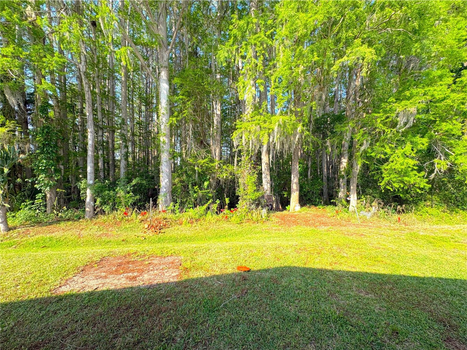 TIMBERWOOD ESTATES - Residential