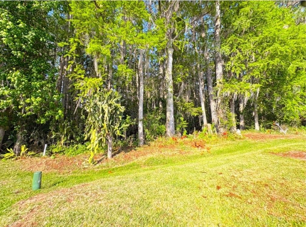 TIMBERWOOD ESTATES - Residential