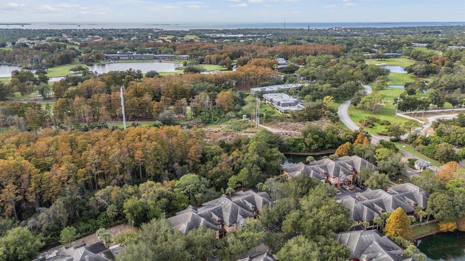 TUSCANY AT INNISBROOK CONDO - Residential Lease