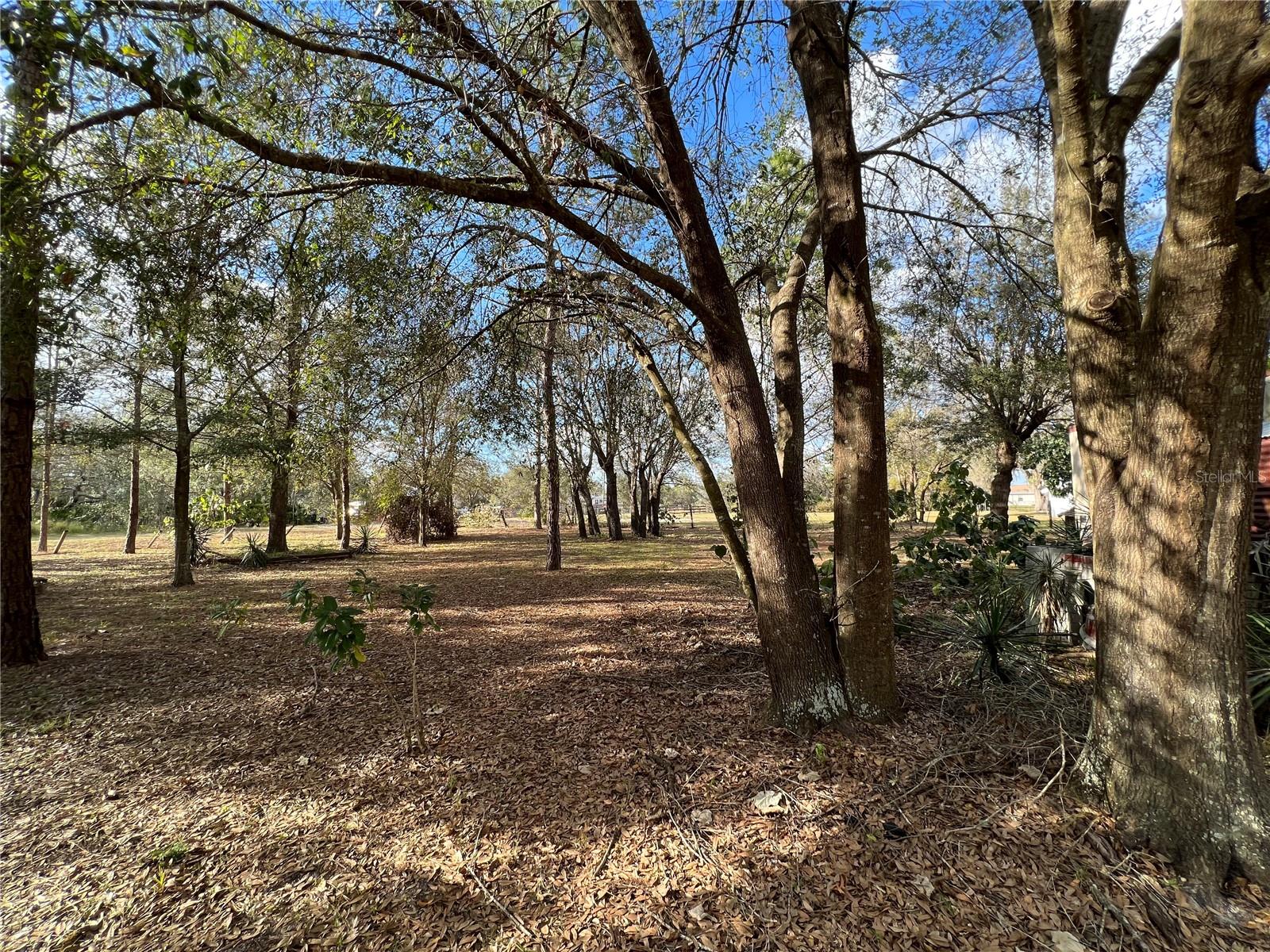 LAKE WALES ESTATES - Residential