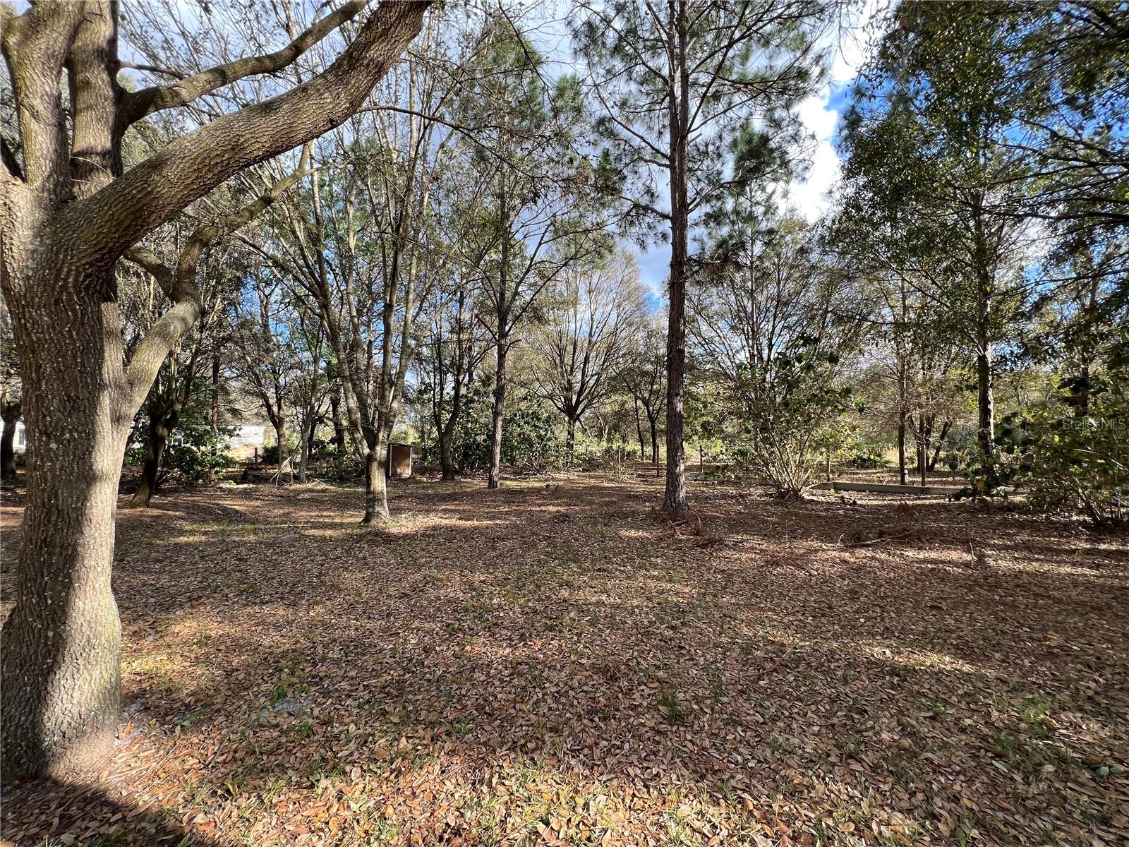 LAKE WALES ESTATES - Residential