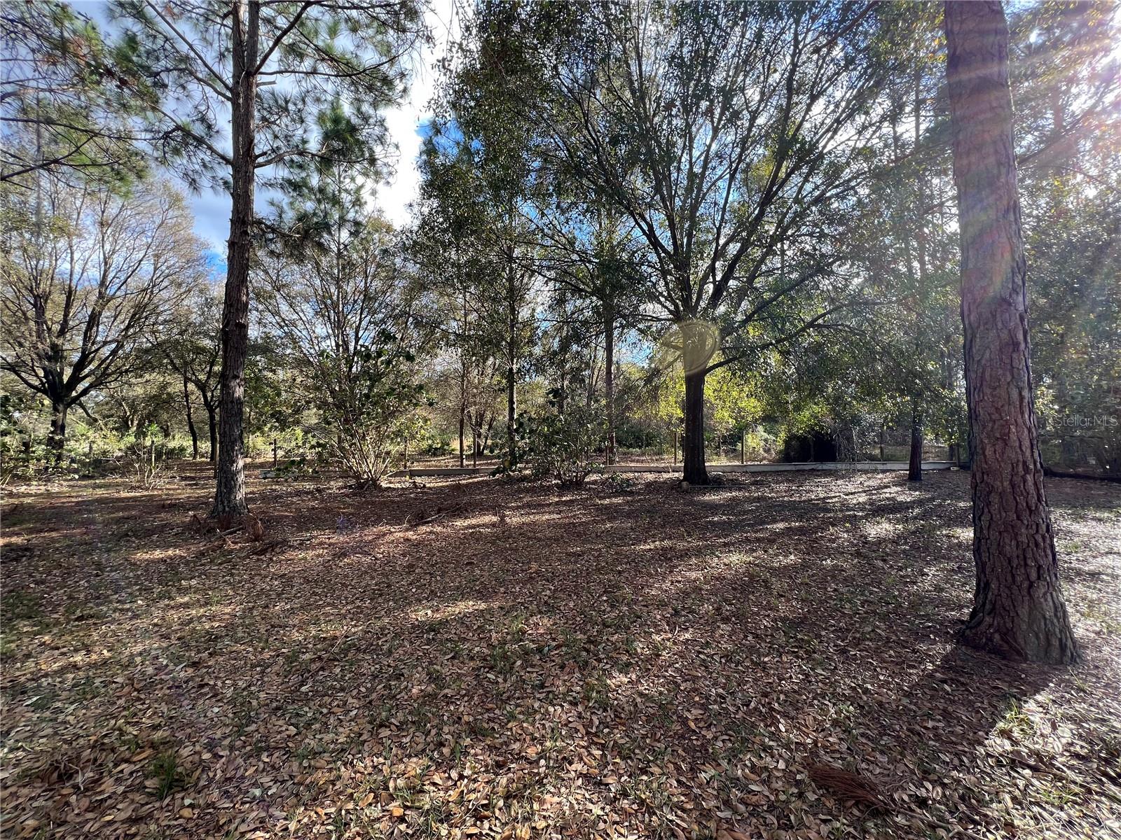 LAKE WALES ESTATES - Residential