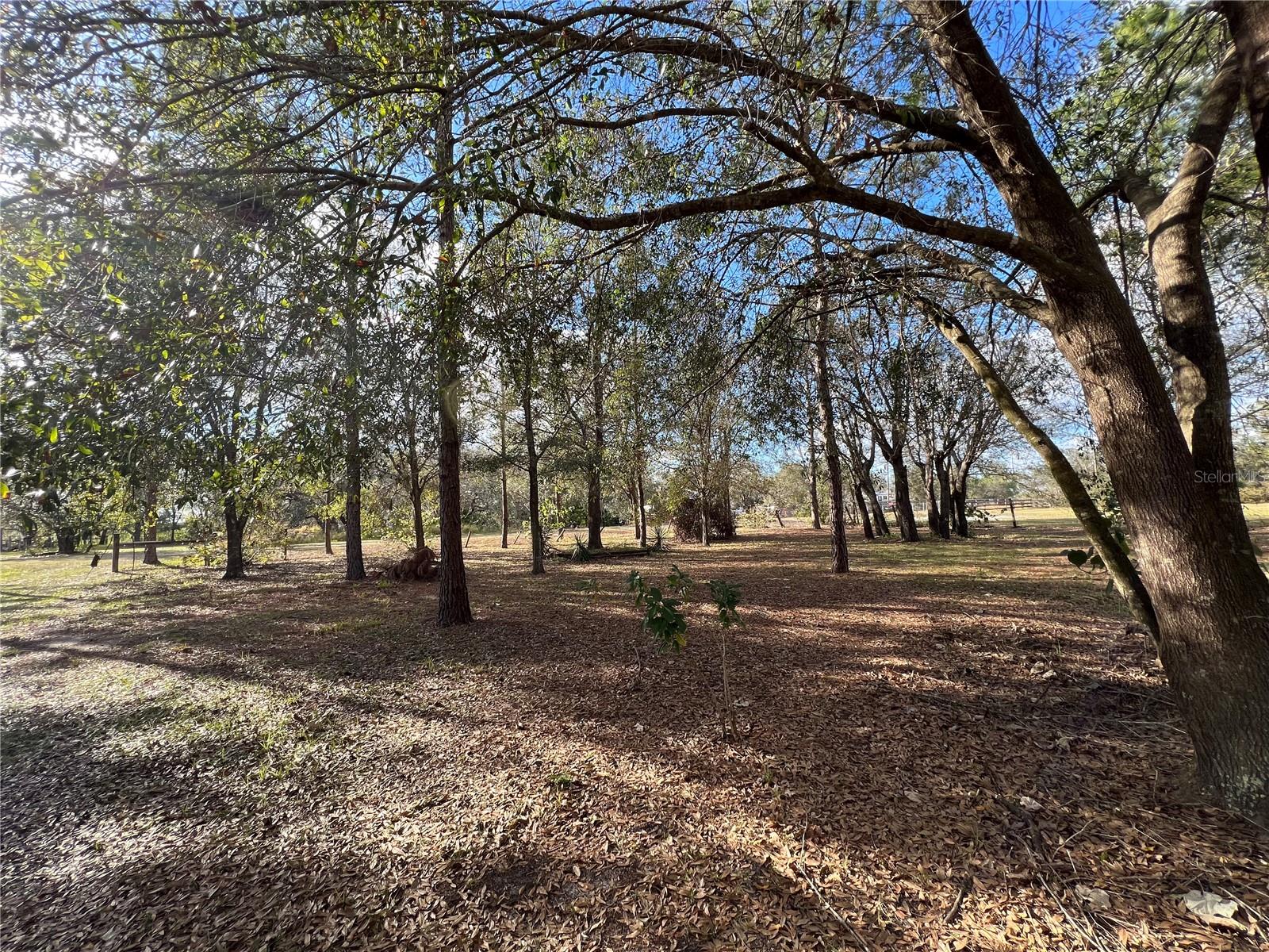 LAKE WALES ESTATES - Residential