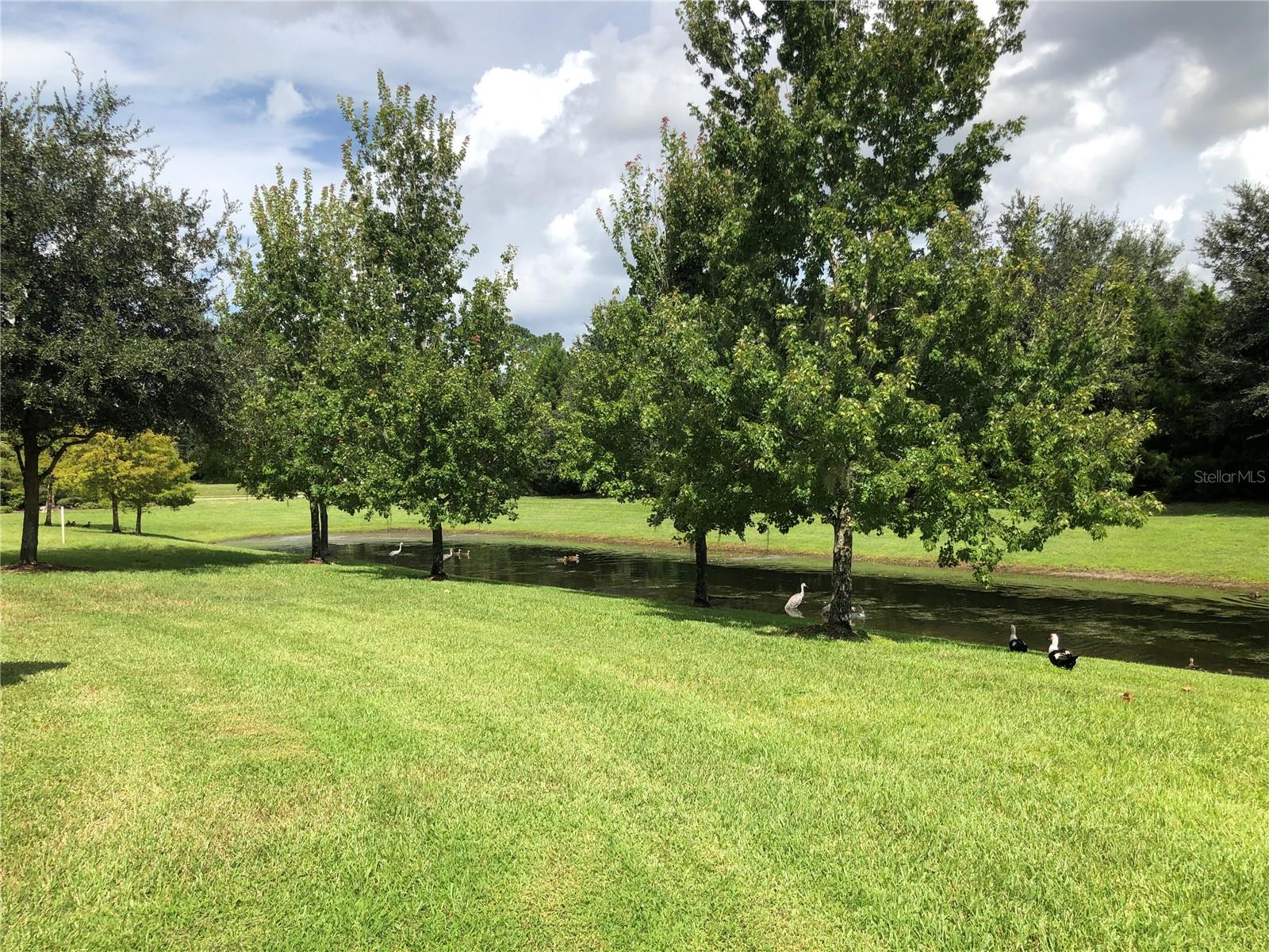 ARBORVIEW PARK REP - Residential