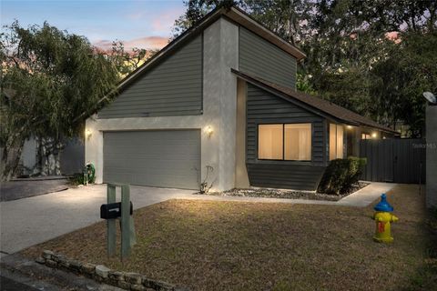 13905 LAZY OAK DRIVE TAMPA FL 33613