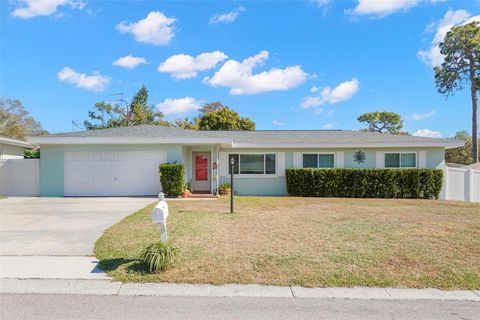 1009 S SAN REMO AVENUE CLEARWATER FL 33756