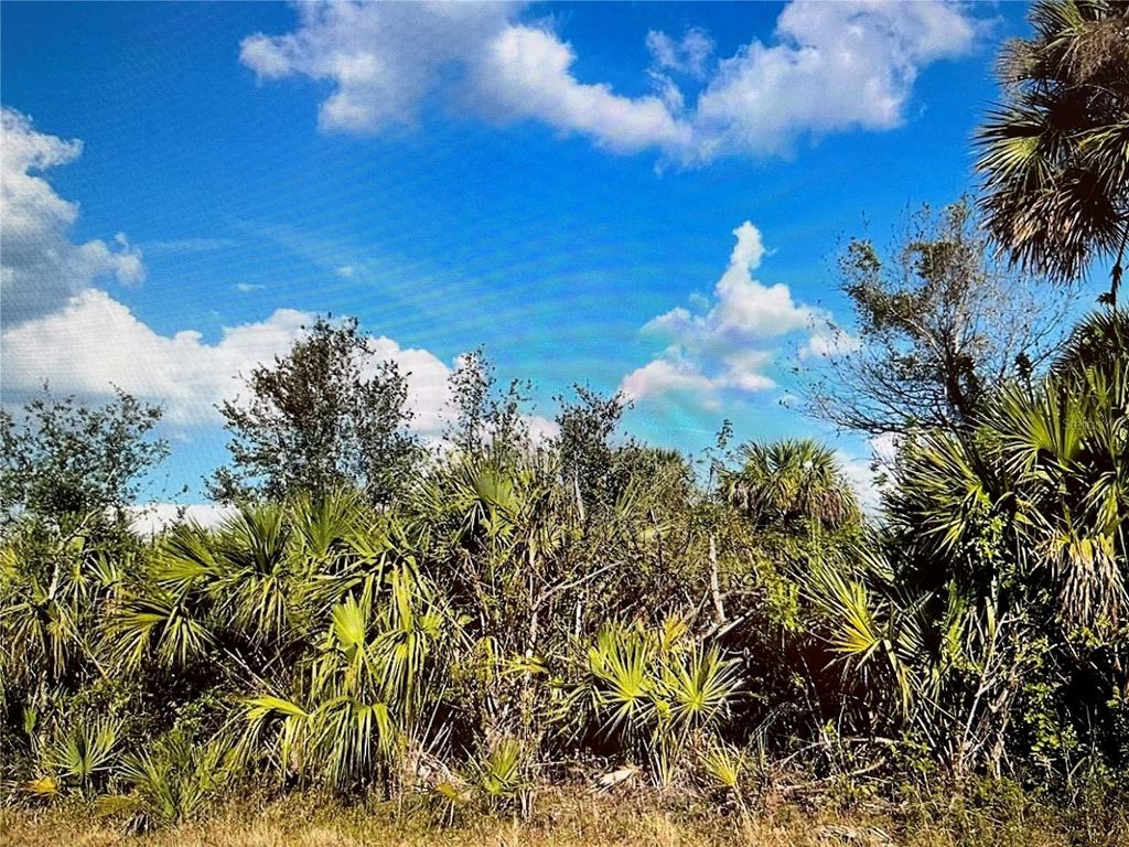 Photo of 347 Lawler Street, Port Charlotte, FL 33954 (MLS # N6140884)