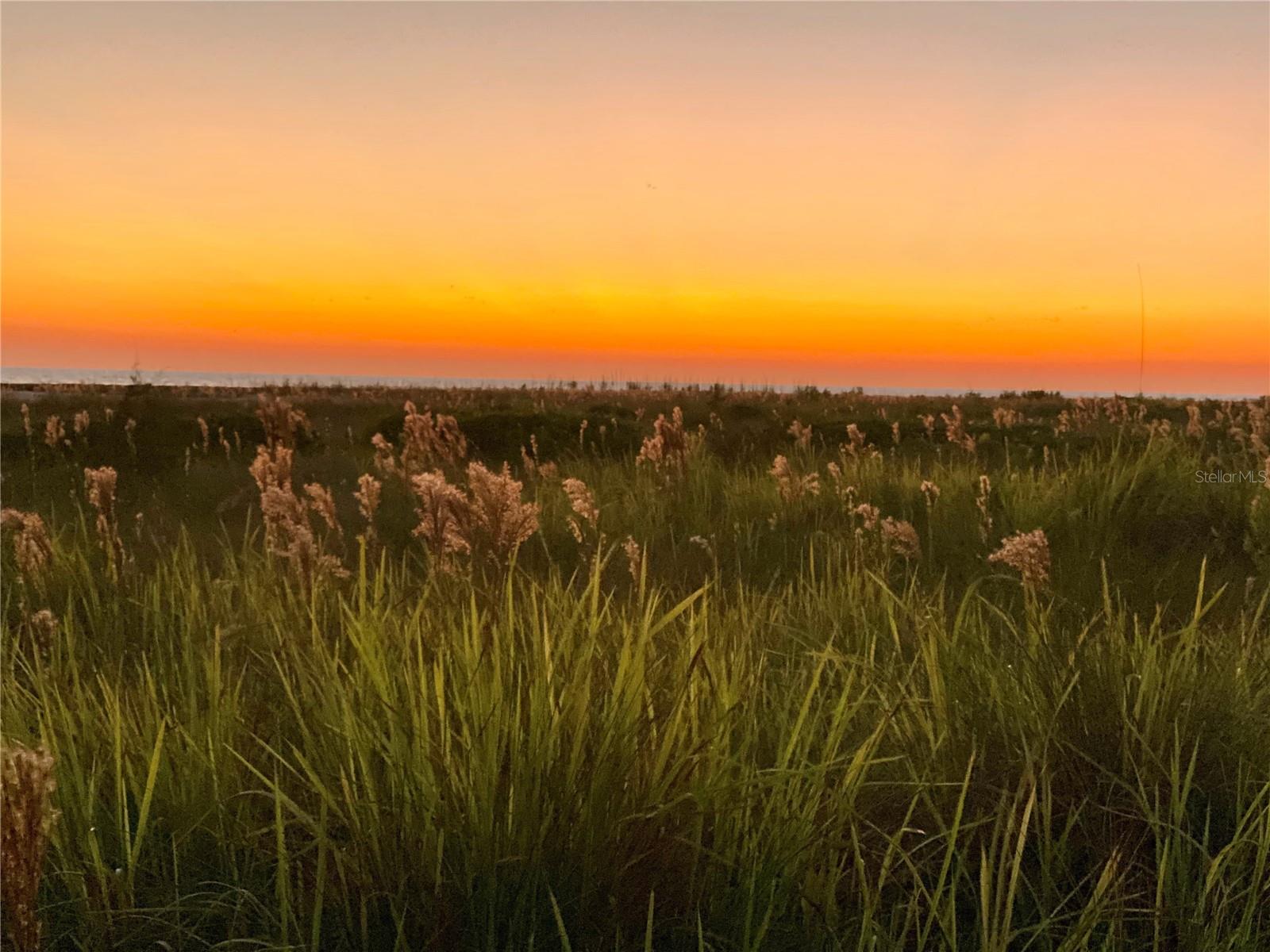 VILLAGE PLACE - Residential Lease