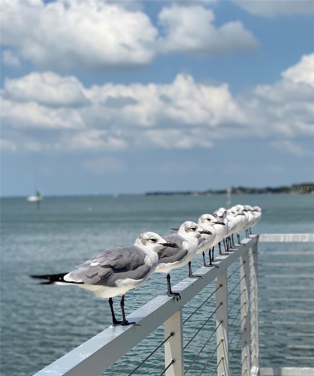 VILLAGE PLACE - Residential Lease