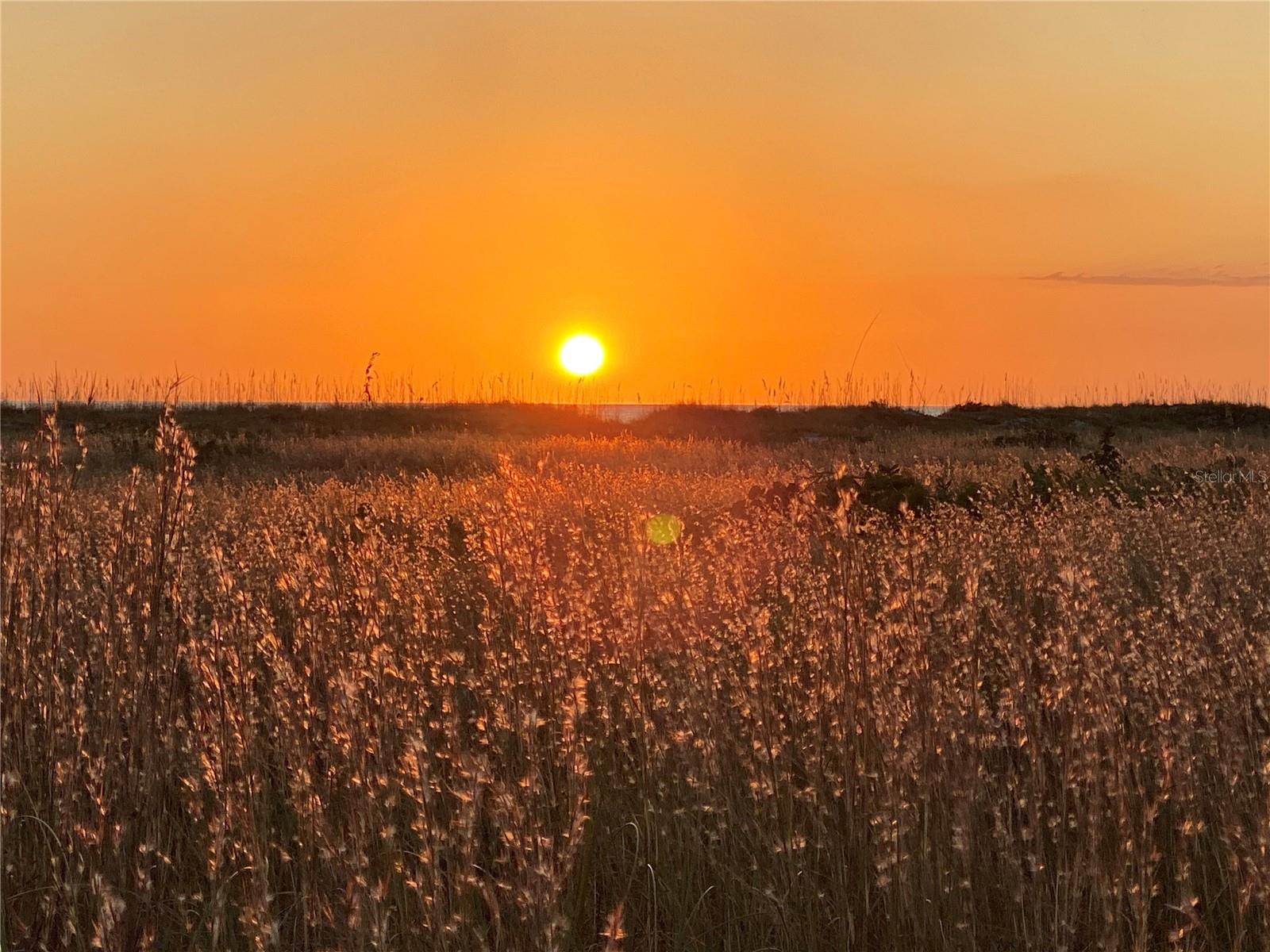 VILLAGE PLACE - Residential Lease