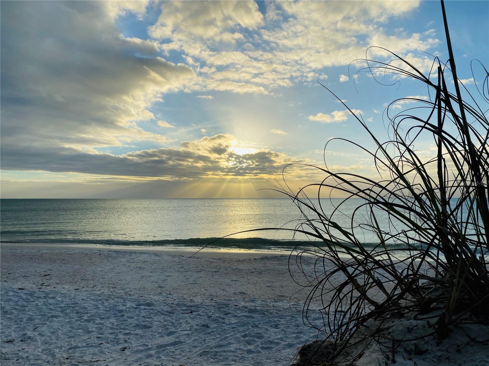 VILLAGE PLACE - Residential Lease