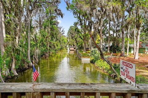 Tiny photo for 31643 Howard Street, Tavares, FL 32778 (MLS # G5112594)