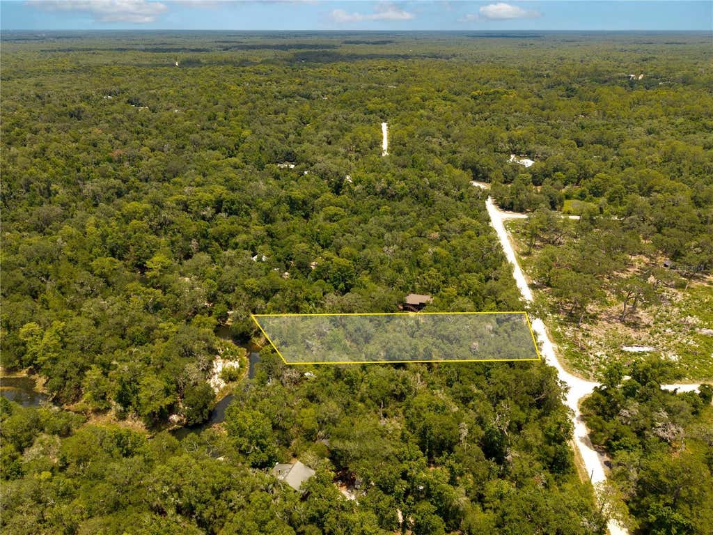 Photo of 7337 Riverview Drive, Webster, FL 33597 (MLS # W7886639)