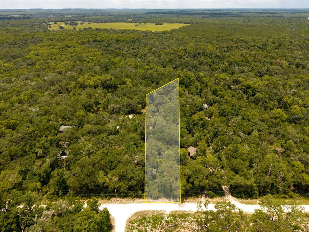 Photo of 7337 Riverview Drive, Webster, FL 33597 (MLS # W7886639)