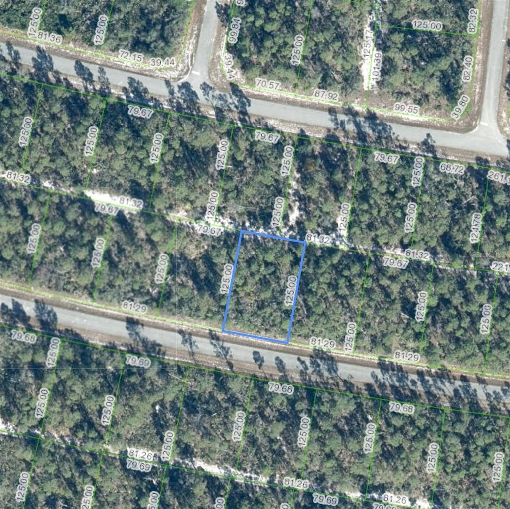 Photo of 7838 Altara Street, Sebring, FL 33872 (MLS # P4940295)