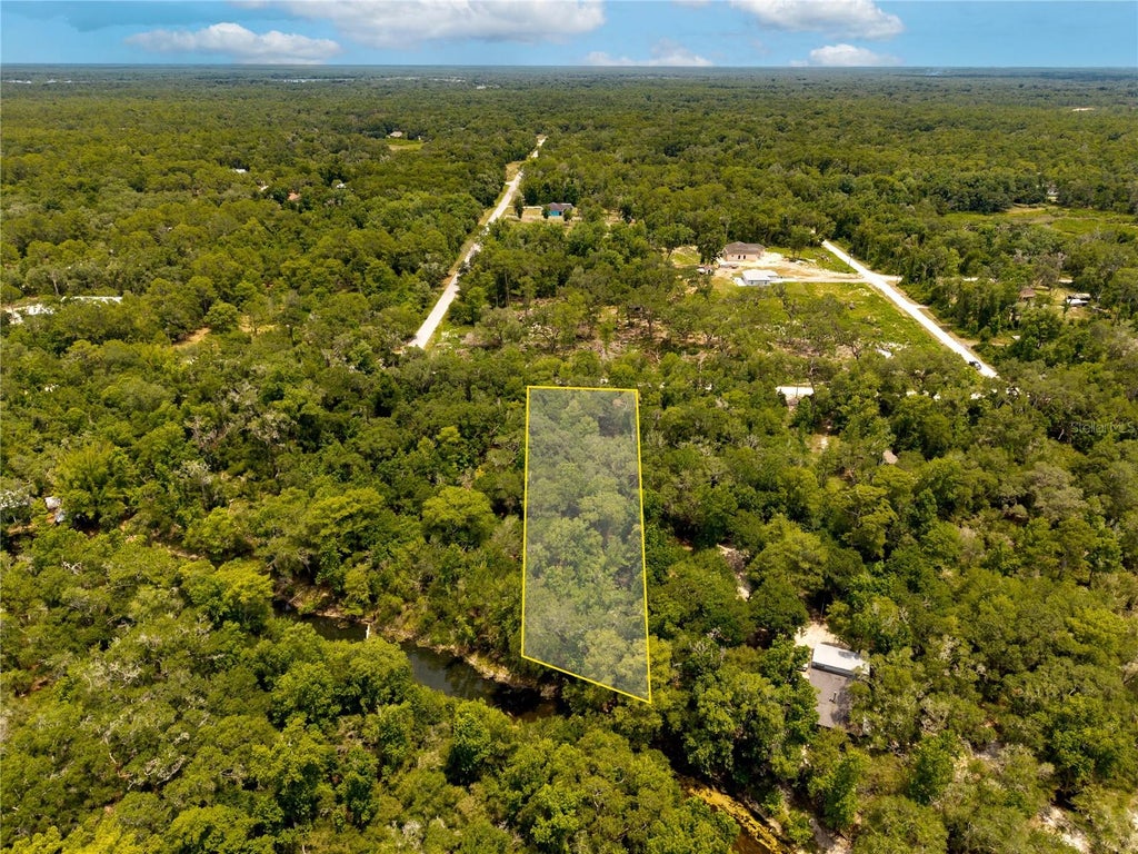 Photo of 7353 Riverview Drive, Webster, FL 33597 (MLS # W7886638)
