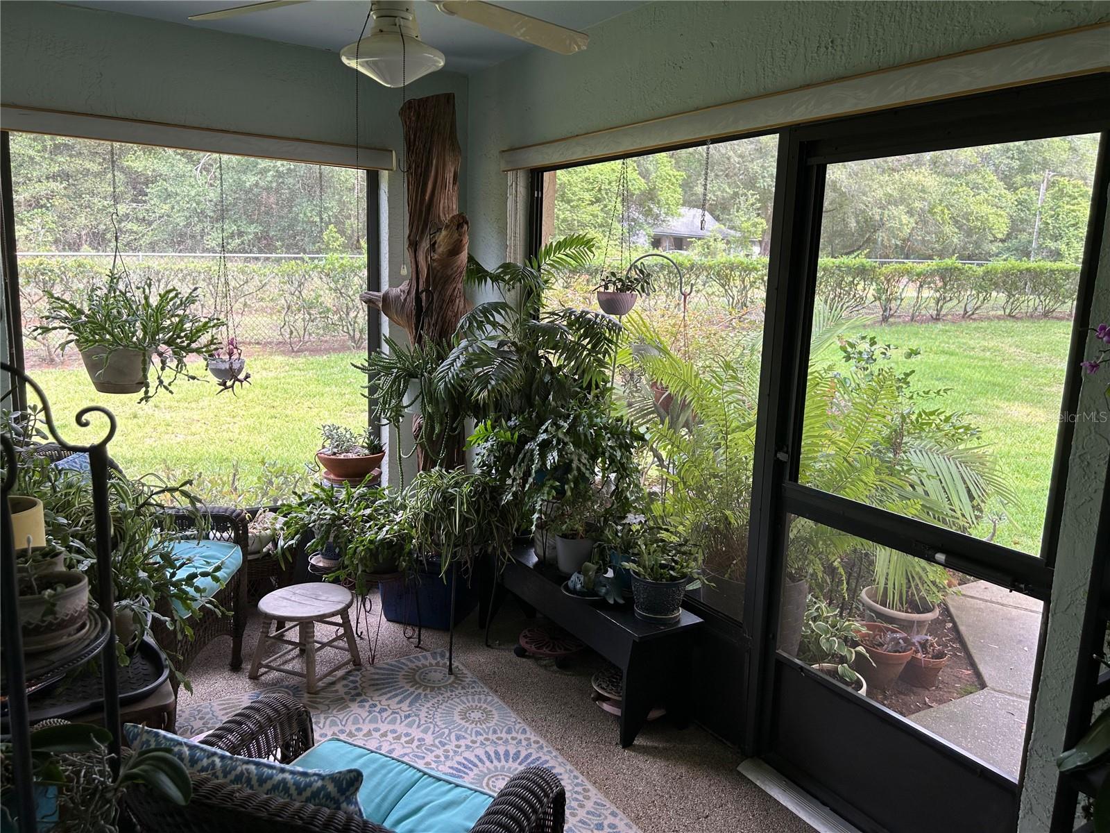 REGENCY PARK CONDO - Residential